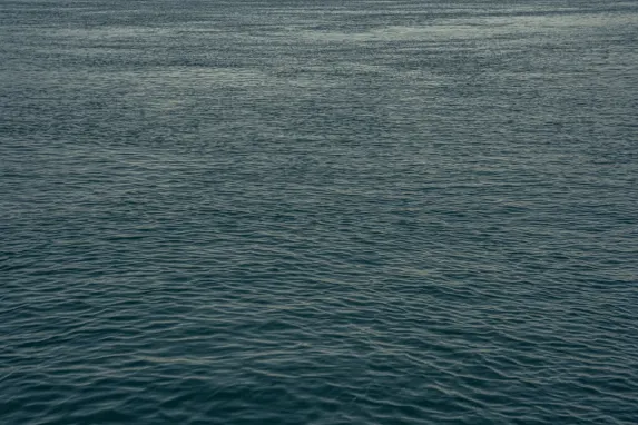 Kazino Jackpot Molly Pagalba